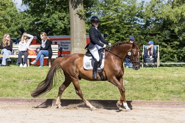 Bild 137 - Pony Akademie Turnier